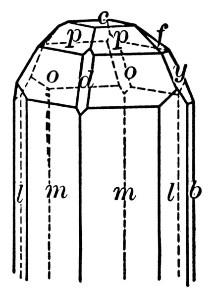 Topaz Silicate Mineral Aluminium Fluorine Vintage Line Drawing Engraving Illustration — Stock Vector