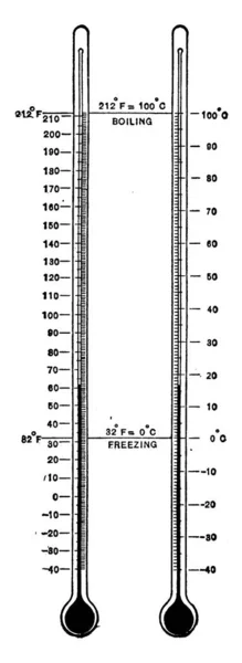 Thermometer Mit Doppelter Skala Fahrenheit Und Celsius Der Bereich Der — Stockvektor