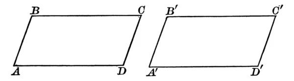 Zwei Gleiche Parallelogramme Haben Jeweils Zwei Paare Paralleler Seiten Vier — Stockvektor