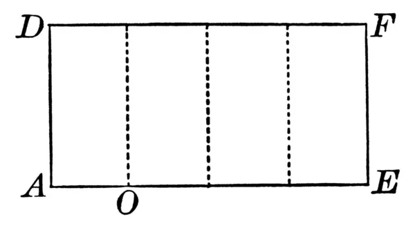 Rectángulo Adfe Dividido Rectángulos Más Con Secciones Más Dibujo Líneas — Vector de stock