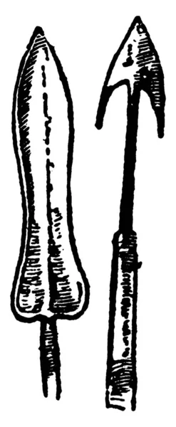 具有两种不同形状和尺寸的西非矛头 老式线条绘图或雕刻插图 — 图库矢量图片