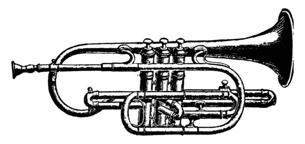Trompeta Pistón Para Trompeta Ordinaria Como Cuerno Cromático Para Cuerno — Archivo Imágenes Vectoriales