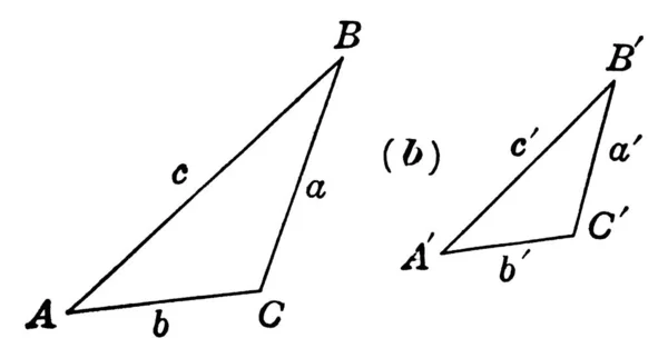 Due Triangoli Simili Hanno Stessa Forma Loro Dimensioni Sono Diverse — Vettoriale Stock