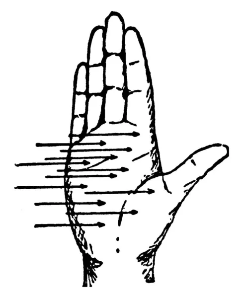 右手的手掌相对于力线的方向 大拇指相对于运动方向 然后手指指向感应电流的方向 老式线条的绘制或雕刻插图 — 图库矢量图片