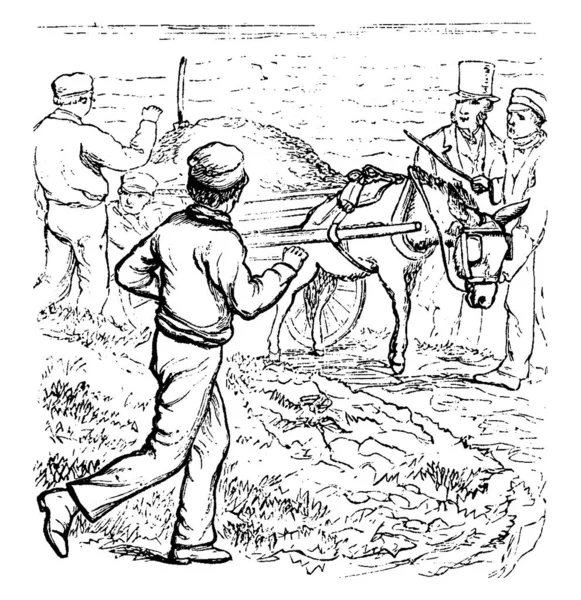 五个人在田里 用驴子犁田 划老线或雕刻插图 — 图库矢量图片