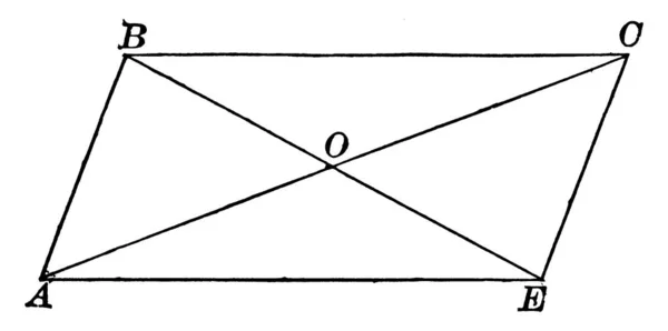 Paralelogramo Com Dois Pares Lados Paralelos Quatro Vértices Diagonal Dividindo —  Vetores de Stock