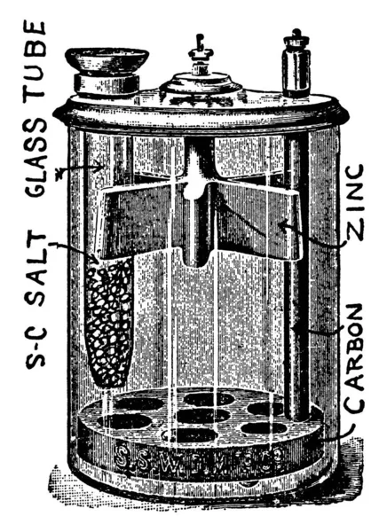 Celda Partz Electrolito Que Rodea Zinc Sulfato Magnesio Sal Común — Vector de stock