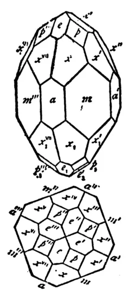 Zwei Tetragonale Prismen Zwei Tetragonale Bipyramiden Und Eine Ditetragonale Bipyramide — Stockvektor