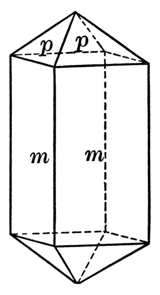 Zircon Vintage Line Drawing Engraving Illustration — 图库矢量图片