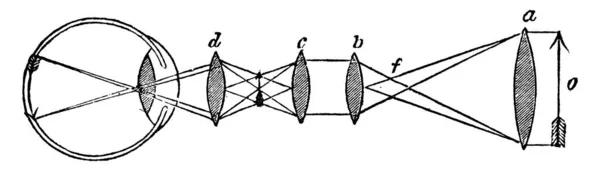 Compose Deux Lentilles Supplémentaires Travers Lesquelles Les Images Sont Faites — Image vectorielle