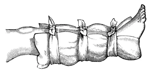 Типичное Представление Показать Подушка Внутреннее Пальто Свитер Одеяло Использовано Качестве — стоковый вектор