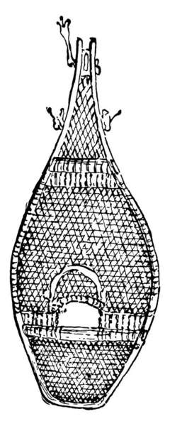 スノーシューは 雪の上を歩くために使用されるインド製の履物です その人の足が雪の中に沈まないように 人の体重を広い地域に分散させます ヴィンテージ線画や彫刻のイラスト — ストックベクタ