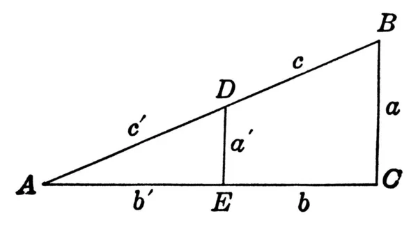 Ein Dreieck Dem Ein Winkel Ein Rechter Winkel Ist Grad — Stockvektor