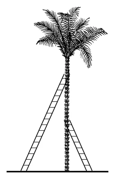 Gli Angoli Elevazione Terra Dove Scale Incontrano Con Albero Sono — Vettoriale Stock