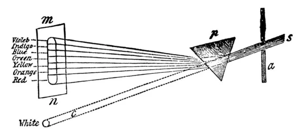 Quando Raio Proveniente Sol Admitido Uma Câmara Escurecida Através Uma — Vetor de Stock