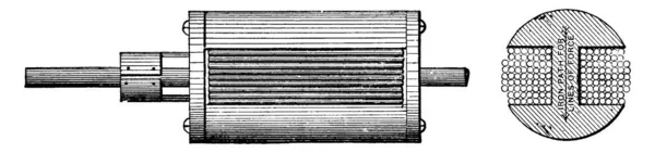 Siemens Armature Demir Silindirin Zıt Taraflarındaki Bir Bobinden Vintage Çizgi — Stok Vektör