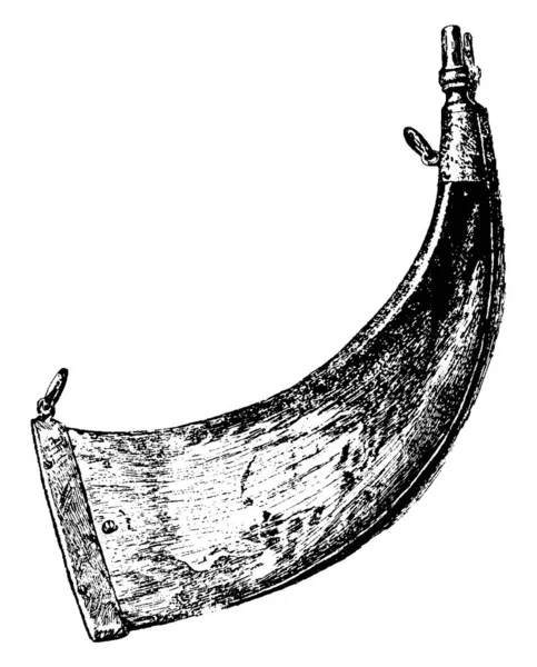 Типове Зображення Порошкового Рогу Порошкової Колби Виготовленої Рогу Тварин Правило — стоковий вектор