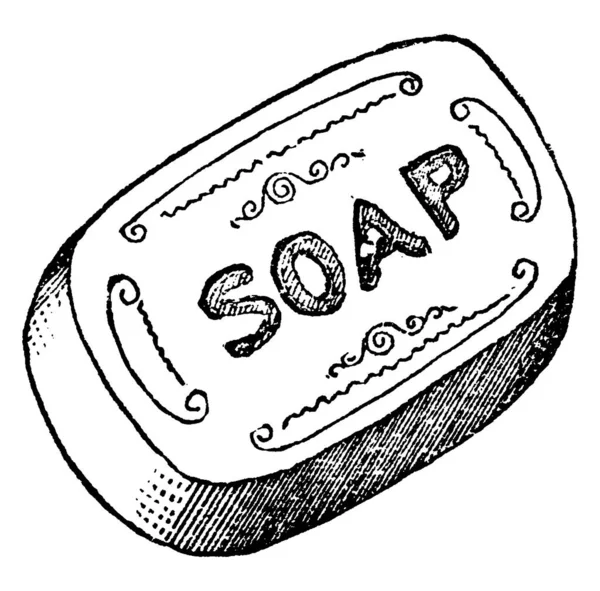 Bir Sabunun Tipik Bir Temsili Bir Daha Fazla Asit Bileşiği — Stok Vektör