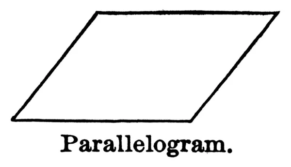 平行四辺形の二対と四辺形の平行四辺形図 — ストックベクタ