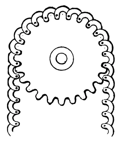 A profiled wheel or sprocket wheel with teeth that mesh with a chain; upon which radial projections engage a chain passing over it. Used in bicycles to transmit rotary motion between two shafts, vintage line drawing or engraving illustration — Stock Illustration Profiled Wheel Sprocket Wheel Teeth Mesh Chain Which Radial Projections Royalty Free Stock Illustrations
