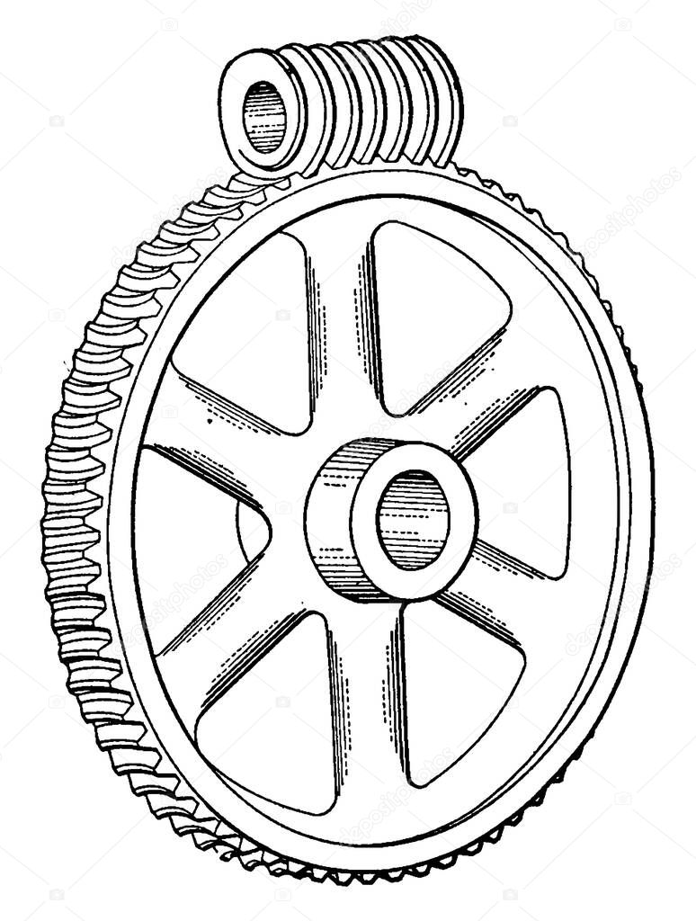 Worm Drive is a gear in which screw meshes with teethed wheel, vintage line drawing or engraving illustration.