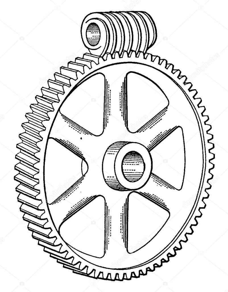 Worm Drive is a gear in which screw meshes with teethed wheel, vintage line drawing or engraving illustration.