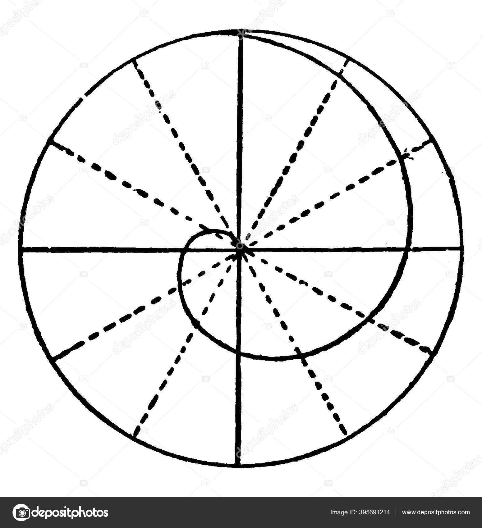 Tipikus Ábrázolása Spirál Archimedes Vintage Vonal Rajz Vagy Gravírozás ...