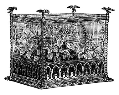 Bitkileri dikmek için kullanılan demirden yapılmış güzel dekore edilmiş bir kasa nemli bir atmosfer, eski model çizimler ya da kabartma çizimler gerektirir..