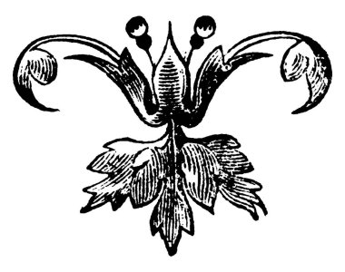 Bu bir çiçek süslemesi ya da dekorasyon ya da alet, klasik çizim ya da gravür.. 