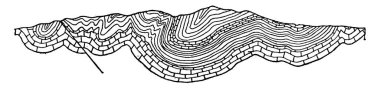 A synclinorium, it is a large syncline on which minor folds are superimposed, vintage line drawing or engraving illustration. clipart