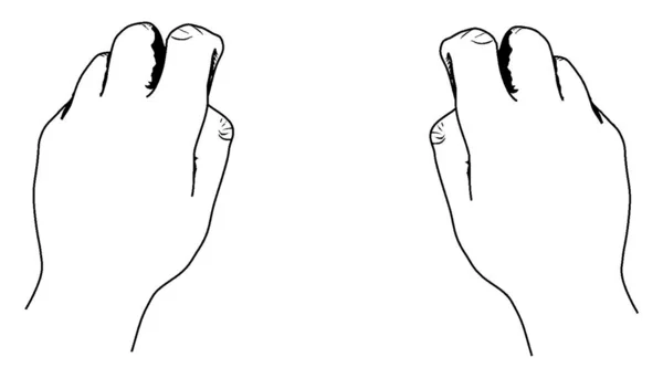 Parte Trás Das Mãos Humanas Aspecto Dorsal Mão Desenho Linha — Vetor de Stock