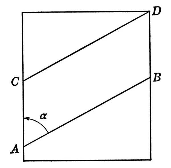 Дві Паралельні Лінії Поділяють Прямокутник Три Частини Вінтажний Малюнок Лінії — стоковий вектор