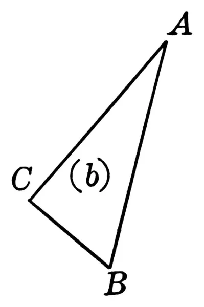 Triángulo Recto Con Vértices Abc Área Dibujo Línea Vintage Ilustración — Vector de stock