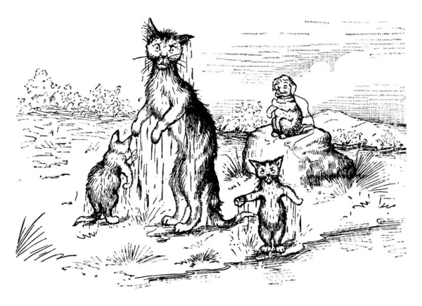 Eine Typische Darstellung Von Drei Katzen Die Bei Regen Nass — Stockvektor