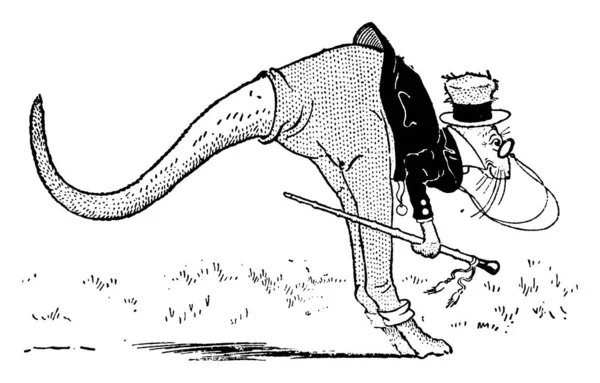 Кенгуру Стрибає Кенгуру Австралійські Тварини Сумкою Маленькою Головою Великими Потужними — стоковий вектор