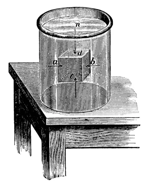 Illustration Indiquant Que Force Flottaison Vers Haut Est Exercée Sur — Image vectorielle