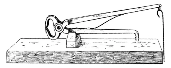 Olijven Zaad Clipper Een Hulpmiddel Voor Het Extraheren Van Olijven — Stockvector