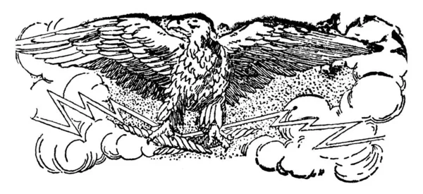 Ein Adler Doodad Ein Adler Mit Offenen Flügeln Der Mitte — Stockvektor