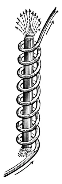 Elettromagnete Tipo Magnete Cui Campo Magnetico Prodotto Una Corrente Elettrica — Vettoriale Stock