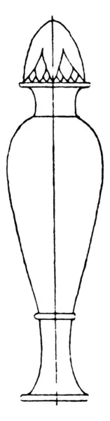 Тонкий Сосуд Ручек Имеет Удлиненное Тело Длинной Узкой Шеей Сделанной — стоковый вектор