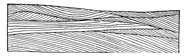 Σχήμα Αυτό Δείχνει Την Εγκάρσια Στρωμνή Οποία Είναι Στρωματοποίηση Μέσα — Διανυσματικό Αρχείο