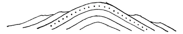 Συμμετρική Αντιγραμμή Ένα Επιφανειακό Ίχνος Του Αξονικού Επιπέδου Συμπίπτει Την — Διανυσματικό Αρχείο