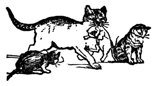彼女のいくつかの子猫と遊ぶ猫の典型的な表現 ヴィンテージライン図面や彫刻イラスト — ストックベクタ