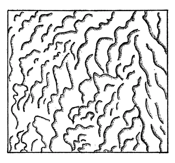 图形显示了沙滩上的波纹痕迹 复古线条或雕刻图解 — 图库矢量图片