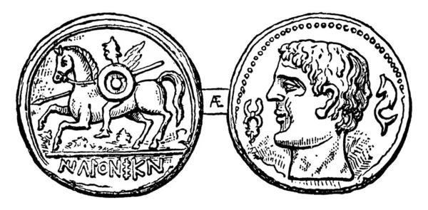 Τυπική Αναπαράσταση Του Νομίσματος Του Ιλλιμπέρη Όνομα Ιβηρικοί Φαίνεται Έχει — Διανυσματικό Αρχείο