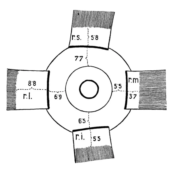 Muscles Œil Humain Ombragés Montrant Plan Des Insertions Des Recti — Image vectorielle