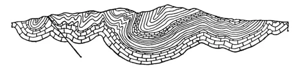 Synclinorium Agit Une Grande Synclinaison Sur Laquelle Superposent Des Plis — Image vectorielle