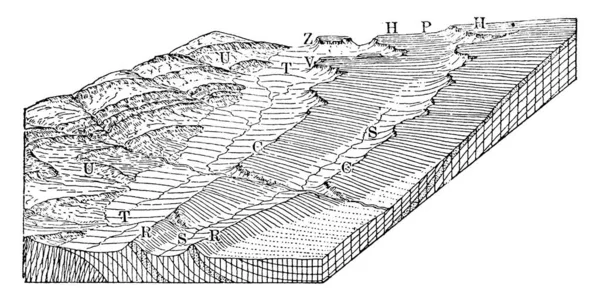 Hog Back Est Crête Crête Forte Avec Des Pentes Raides — Image vectorielle