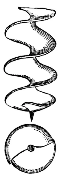Imagen Izquierda Representa Auger Cook Derecha Representa Auger Expanding Sinfín — Archivo Imágenes Vectoriales