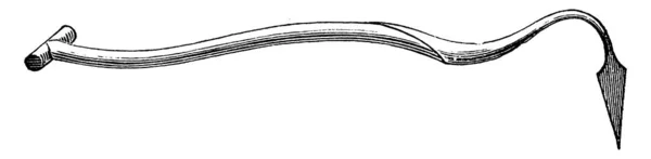 Espanhol Vernon Hoe Uma Ferramenta Jardinagem Com Extremidade Pontiaguda Desenho — Vetor de Stock